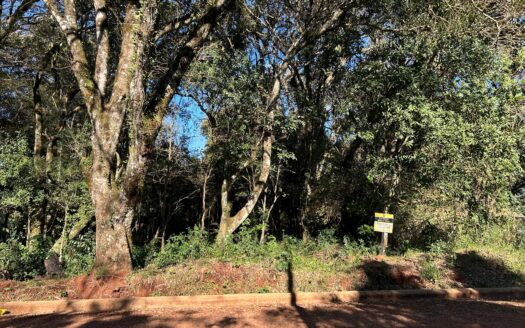 – LOTEO SENDEROS DEL SOL – VILLA CRISTIAN / OBERÁ MISIONES / ARGENTINA